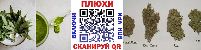 дарнет шоп  Ангарск  Cannafood конопля 