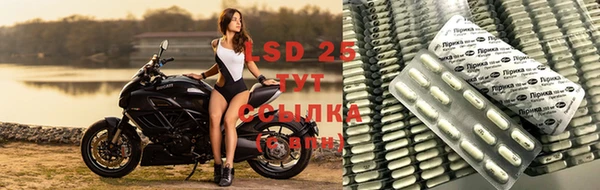 индика Абдулино